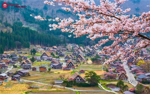 Tour Nhật Bản Mùa Hoa Anh Đào: Cung Đường Làng Cổ Shirakawa-go